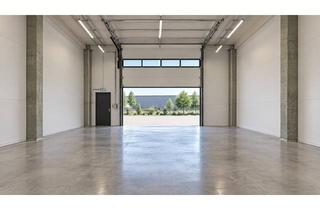 Gewerbeimmobilie mieten in Otto-Hahn-Allee 39, 50374 Erftstadt, Gewerbehalle - viel Licht - hohe Decken