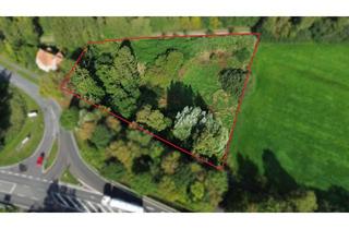 Grundstück zu kaufen in 26939 Ovelgönne, Großzügiges Grundstück mit 5.343 m² in Großenmeer