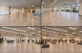 Büro zu mieten in 61440 Oberursel, Bestlage Oberursel: bis zu ca. 1.116 m² Büro-, Laden- und Kombifläche – teilbar ab ca. 350 m²