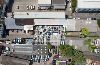 Gewerbeimmobilie kaufen in 65933 Griesheim, Im Alleinauftrag: Gemischt genutztes Ensemble mit Wohnungen, Lager- und Hallenflächen