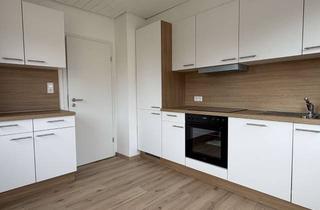 Wohnung mieten in Hauptstraße 12, 74248 Ellhofen, Modernisierte 2-Zimmer-Wohnung in Ellhofen mit Pauschalmiete