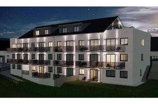 Wohnung mieten in Doktor-Robert-Pickl-Straße 19, 84066 Mallersdorf-Pfaffenberg, Neubau-Wohnung in Mallersdorf-Pfaffenberg: 2,5-Zimmer-Wohnung mit Balkon und KFW40 QNG Standard