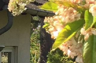 Wohnung mieten in 65366 Geisenheim, Johannisberg - Nähe Internat - EG - 3-ZKB - privater Garten - neu renoviert