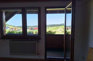 Wohnung mieten in 79875 Dachsberg, Schöne und gepflegte 2,5-Zimmer-Wohnung mit EBK in Dachsberg (Südschwarzwald)