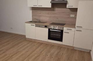 Wohnung mieten in 76887 Bad Bergzabern, 2-Zimmer-Whg. mit neuer Küche und Freisitz