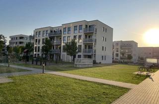 Wohnung mieten in Kiepenheuerallee 20-26, 14469 Bornstedt, Große 2-Zimmer-Wohnung mit sonniger Terrasse