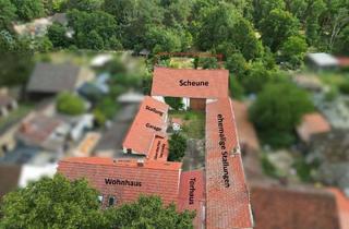 Haus kaufen in 14822 Planebruch, Vierseitenhof Fläming 227 m² Wohnfläche, Scheune, Stallungen, viel Platz für Hobby und Tierhaltung