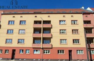 Wohnung mieten in 39108 Magdeburg, Gemütliches Stadtleben: 3-Zimmer-Wohnung in Magdeburg-Stadtfeld-Ost