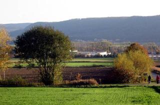Büro zu mieten in 31832 Springe, Springe: variable 900 m² Bürofläche mit Südfenster im I. Obergeschoss