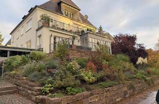 Wohnung mieten in 34131 Kassel, Hochwertig renovierte Erdgeschosswohnung am Mulang – 157 m², Wintergarten, Terrasse & 2 Bäder