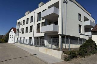 Penthouse mieten in 74382 Neckarwestheim, Exklusive Penthouse Wohnung mit Panoramablick – Neubau 2026 | 3,5 Zimmer | 93,13 m² | Dachterrasse