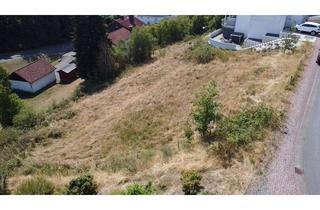 Grundstück zu kaufen in 35789 Weilmünster, Kapitalanlage mit Substanz: 981 m² Baugrund in Weilmünster