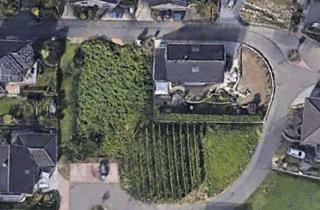 Grundstück zu kaufen in Auf Schiels, 56859 Bullay, Ruhig gelegenes Baugrundstück in 56859 Bullay an der Mosel