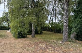 Grundstück zu kaufen in 89558 Böhmenkirch, Bauplatz mit gewachsenem Grün in Böhmenkirch-Treffelhausen zu verkaufen