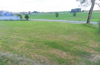 Immobilie kaufen in 87496 Untrasried, Gewerbegrundstück in Untrasried