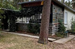 Haus kaufen in 39114 Magdeburg, Magdeburg - Bungalow in Plötzky 500 QM 44 QM Wohnfläche