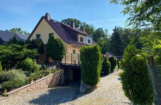 Doppelhaushälfte kaufen in 01616 Strehla, Strehla - Gepflegte 7?Zimmer?Doppelhaushälfte | 110 m² | 01616 Strehla