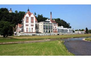 Loft kaufen in 79359 Riegel, Sehr hübsches, zum 01.12.2026 frei werdendes 1-Zimmer-Loft in der ehem. Riegeler Schlossbrauerei