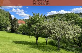 Wohnung kaufen in 34431 Marsberg, Naturidylle pur: Gemütliches Nest mit Weitblick und eigenem Garten!