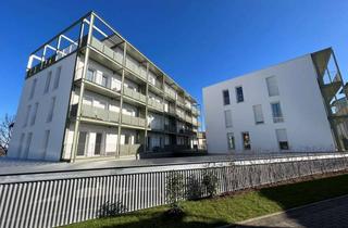 Wohnung mieten in Taläckerallee 53/1, 74653 Künzelsau, Attraktives Wohnen an der Allee im Neubau im Zweitbezug A1