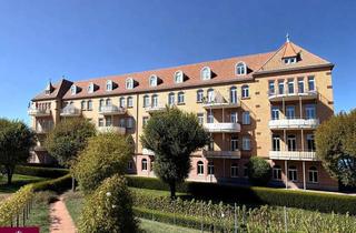 Wohnung mieten in 79206 Breisach, Wer will denn hier schön wohnen?