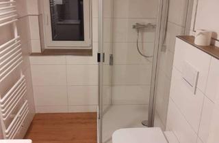 Wohnung mieten in Untergötzenhof, 36100 Petersberg, Sanierte 1-Raum-Wohnung mit Einbauküche in Petersberg