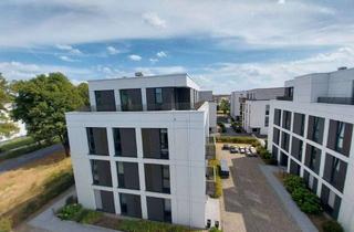 Wohnung mieten in An Den Streuobstwiesen 56b, 61231 Bad Nauheim, Helle 2-Zimmer-DG-Wohnung mit Dachterrasse und EBK