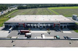 Gewerbeimmobilie mieten in 63110 Rodgau, Im Alleinauftrag: Ca. 3.090 qm Hallenfläche