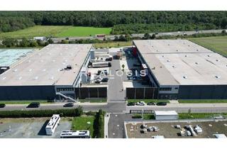 Gewerbeimmobilie mieten in 63110 Rodgau, Im Alleinauftrag: Ca. 4.050 qm Hallenfläche