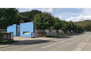 Gewerbeimmobilie kaufen in Werkstraße 26, 78727 Oberndorf, Vielfältig nutzbare Gewerbeeinheit in Oberndorf a. N. abzugeben