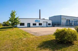 Gewerbeimmobilie kaufen in An Den Rohrwerken 26, 06749 Bitterfeld-Wolfen, Produktionsstandort kaufen statt mieten: 362 m² möblierte Gewerbefläche + 1.737 m² Grundstück