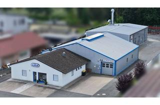 Gewerbeimmobilie mieten in Carl-Kreul-Straße, 91352 Hallerndorf, Effizient nutzbare Produktionshalle mit 992 m² in Hallerndorf