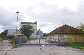 Gewerbeimmobilie kaufen in 04509 Löbnitz, Vielseitig nutzbarer, leerstehender Gewerbekomplex + PV-Anlage