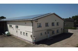 Gewerbeimmobilie kaufen in 06188 Peißen, Lagerhallen / Werkstatt / Büro / Freiflächen