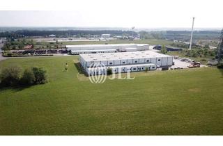 Gewerbeimmobilie kaufen in 06869 Klieken, Kranhalle an der A 9 I sofort verfügbar