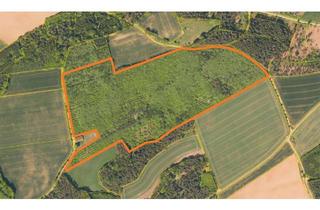 Grundstück zu kaufen in 96142 Hollfeld, Große Waldfläche zum Verkauf - Etwa 13,1 ha Fläche in Hollfeld Gemarkung Drosendorf