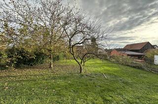 Grundstück zu kaufen in Untere Hauptstraße 48, 76863 Herxheim, Grundstücksflächen in zentraler Lage von Herxheim 1.560 m² Fläche - Ohne Maker -