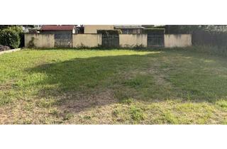 Grundstück zu kaufen in 67133 Maxdorf, Baugrundstück in ruhiger Ortslage von Maxdorf - Ihr Platz für ein neues Zuhause