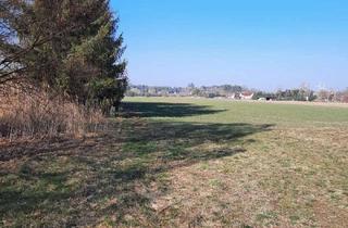 Grundstück zu kaufen in 15910 Bersteland, Schöne Grundstücke mit sonnigem Feldblick!