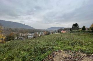 Grundstück zu kaufen in Rektor-Seemann-Straße 14, 32457 Porta Westfalica, Sehr großzügiges Baugrundstück mit Blick auf den Kaiser-Wilhelm