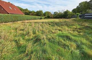 Grundstück zu kaufen in 26446 Friedeburg, Attraktives, großflächiges Grundstück am Ortsrand von Horsten in ruhiger Lage und Natur!