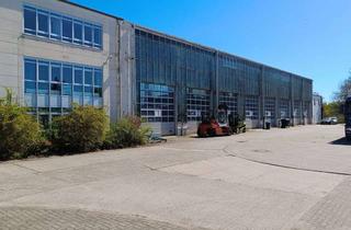 Gewerbeimmobilie kaufen in 06749 Bitterfeld-Wolfen, 1560 m² große Büro- und Lagerhalle in Bitterfeld-Wolfen