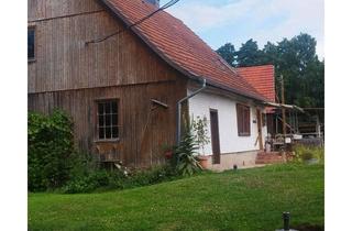 Immobilie mieten in Mühlenweg 11, 36381 Schlüchtern, Mitbewohner/in gesucht - WG im Grünen