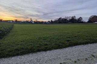 Gewerbeimmobilie kaufen in 86470 Thannhausen, 13.939 m² Ackerfläche im Ortsteil Burg zu erwerben!
