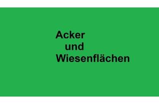 Gewerbeimmobilie kaufen in 39524 Sandau, Acker und Wiesenflächen in Sandau