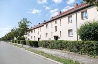 Wohnung mieten in Fr.-Nietzsche-Straße 39, 06618 Naumburg, Gemütliche 2-Raum Wohnung für Azubis & Studenten in der Fr.-Nietzsche-Str. 39 Naumburg (Saale)