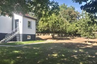 Wohnung mieten in 23948 Klütz, Erstbezug! Sanierte 3-Zimmerwohnung im Souterrain mit Gartenmitbenutzung