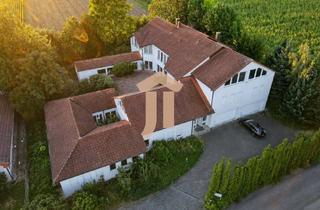 Haus kaufen in 74189 Weinsberg, Großzügiges Wohn- und Geschäftshaus auf hohem Niveau in Feldrandlage