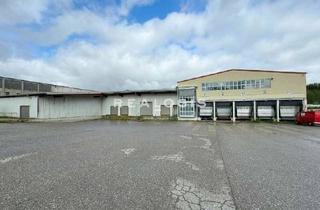 Gewerbeimmobilie mieten in 55450 Langenlonsheim, Provisionsfrei - Rampen - Lager