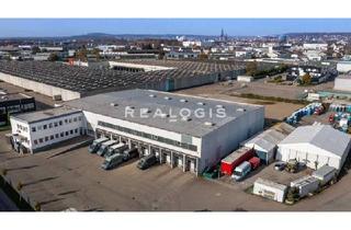 Gewerbeimmobilie mieten in 67547 Innenstadt, Cross-Dock - provisionsfrei - ca. 5.000 qm Logistikfläche